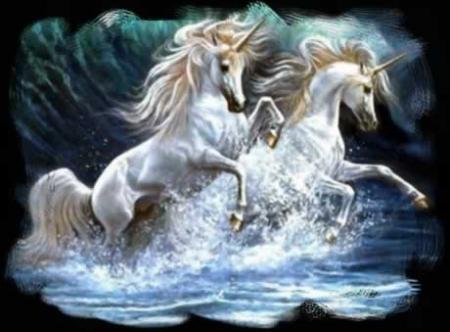 chevaux